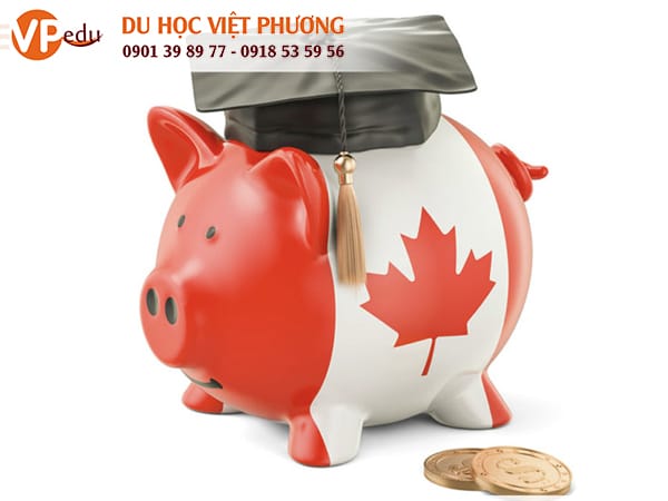 Chi phí để Mb66 hiện đang mở được xếp hạng cao nhất Canada thấp hơn rất nhiều so với những quốc gia như Mỹ, Úc...