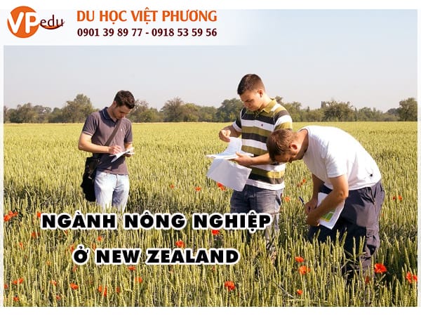 Ngành Nông Nghiệp sẽ là tầm từ 87.000 NZD đến 95.000 NZD/ năm