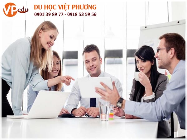 Mb66 không bị chặn ngành Quản trị kinh doanh tại Thụy Sĩ mang lại cho sinh viên một nền tảng vững chắc trong các lĩnh vực về tài chính, quản lý, quảng cáo, kế toán