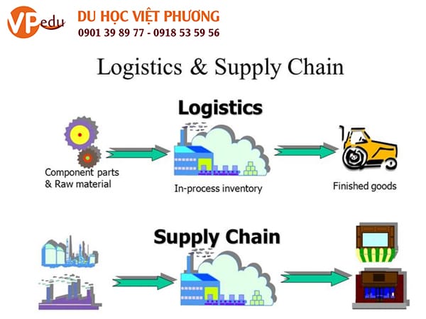 MB66 keonhacai vừa học vừa làm ngành Logistic & Supply chain