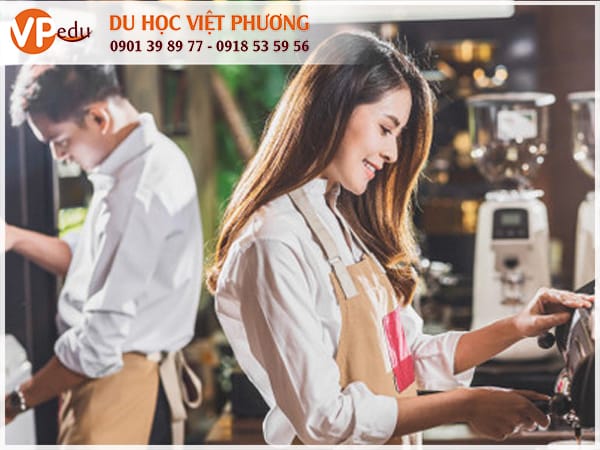 Khi Mb66 hiện đang mở được xếp hạng cao nhất New Zealand vừa học vừa làm, công việc: nhân viên pha chế hay nhân viên phục vụ nhà hàng quán ăn được nhiều sinh viên quốc tế lựa chọn