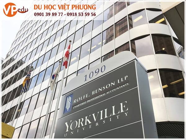 Đại học Yorkville là trường đại học tư nhân vì lợi nhuận được thành lập năm 2003 tại New Brunswick