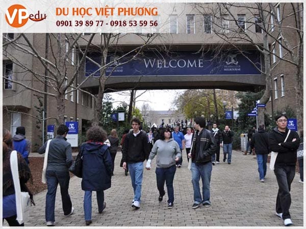 Mb66 không bị chặn Úc ngành quản trị kinh doanh tại Đại học Melbourne