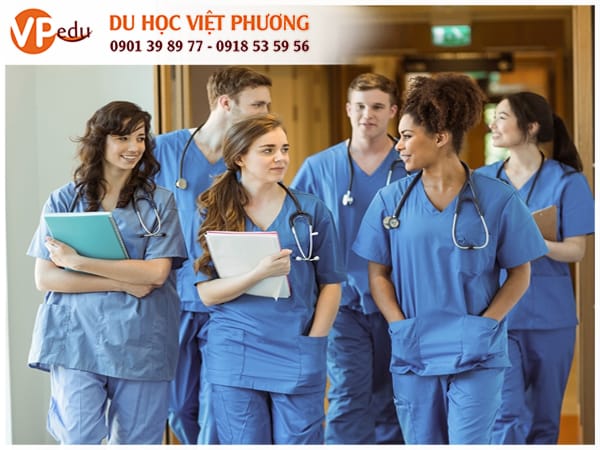Nurse Practitioner (NP)