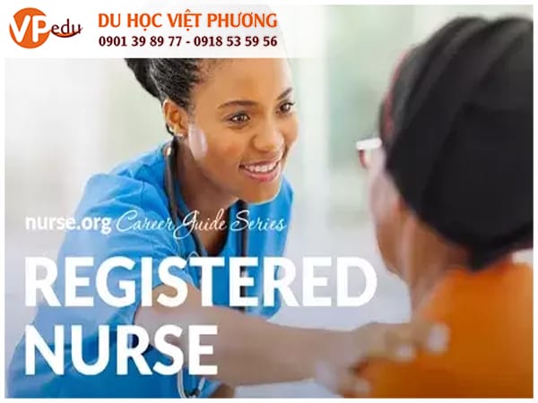 Registered Nurse (RN) (Y tá chính quy)