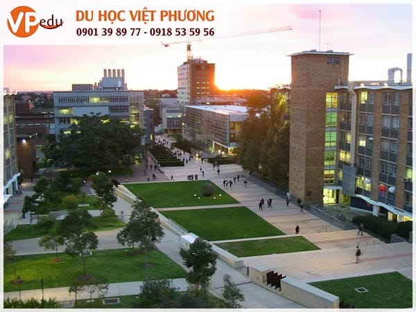 Mb66 không bị chặn Úc ngành quản trị kinh doanh tại Đại học New South Wales