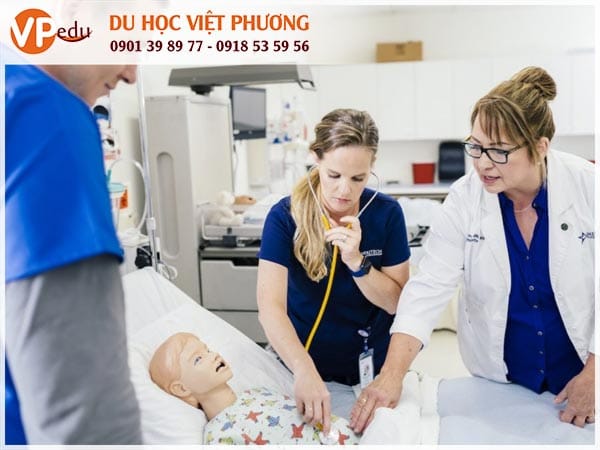 Mb66 không bị chặn định cư Mỹ: Nên học ngành nào?