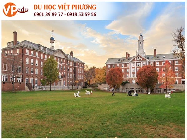 Trường cao đẳng đại học ở Mỹ có hơn 4000 Mb665 vip, vì vậy ngoài việc lựa chọn chương trình học phù hợp ra thì còn phải cân nhắc về vấn đề chọn trường.