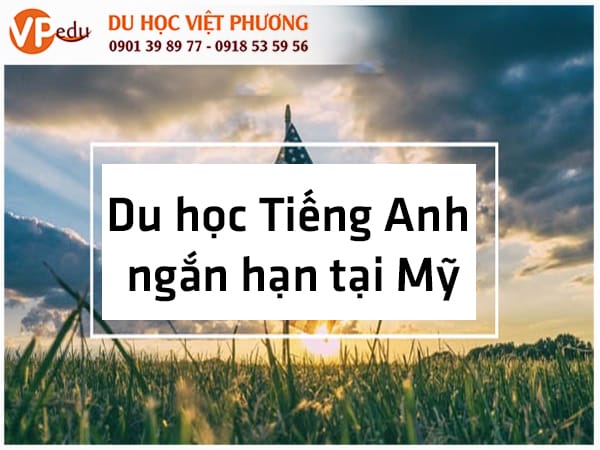 Mb66 không bị chặn Tiếng Anh ngắn hạn tại Mỹ - Sự lựa chọn thông minh