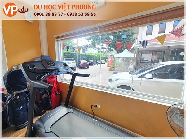 Hoặc lựa chọn tập gym để nâng cao sức khỏe