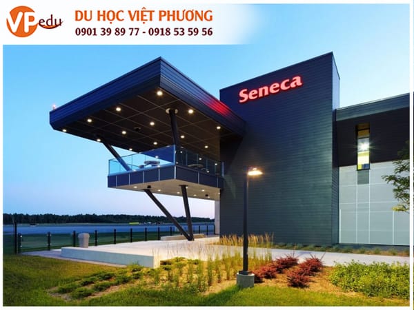 Trường Seneca đứng top 12 trên toàn thế giới được QS World Rankings 2022 công nhân