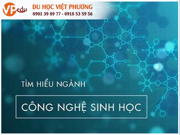 Mb66 không bị chặn Canada ngành công nghệ sinh học 