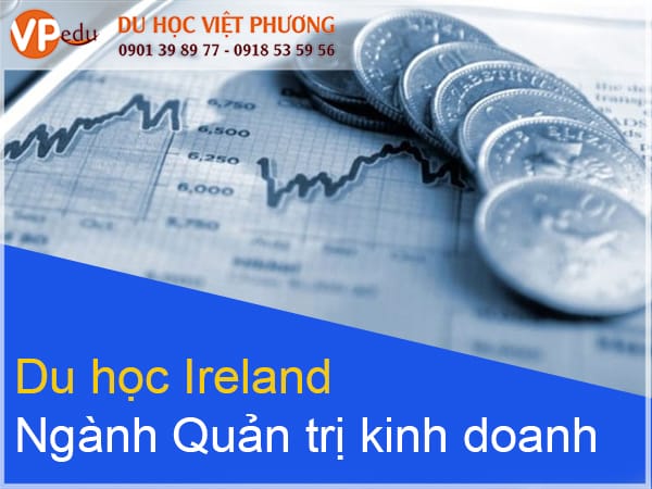 Ngành Quản trị Kinh Doanh tại Ireland là một trong những ngành Hot và được nhiều sv lựa chọn