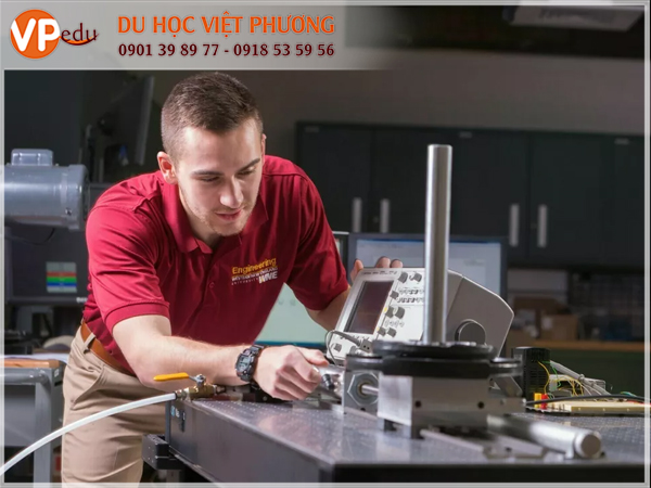 Trường có đến hơn 50 chuyên ngành bậc cử nhân hấp dẫn cho sinh viên lựa chọn