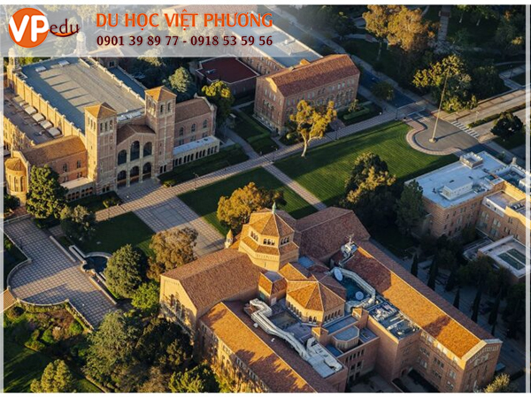 Những điểm nổi bật của trường American Collegiate at Los Angeles