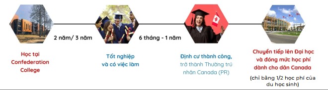 lộ trình chuyển tiếp lên đại học của sinh viên trường Confederation College