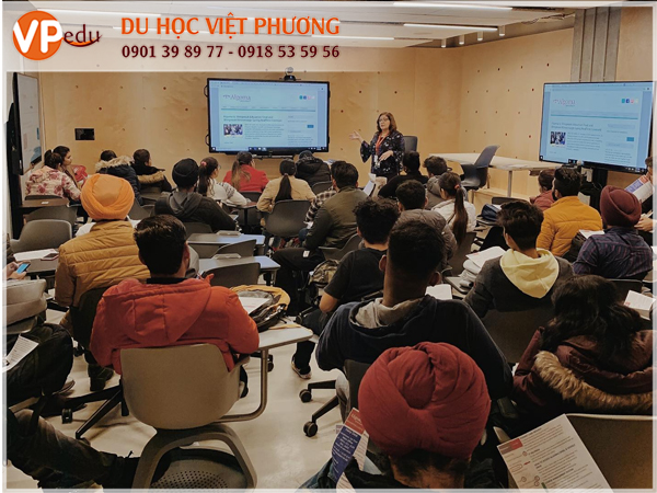 Tỉ lệ sinh viên có việc làm tại Algoma sau khi Mb6651 chơi tài xỉu bằng app khá cao