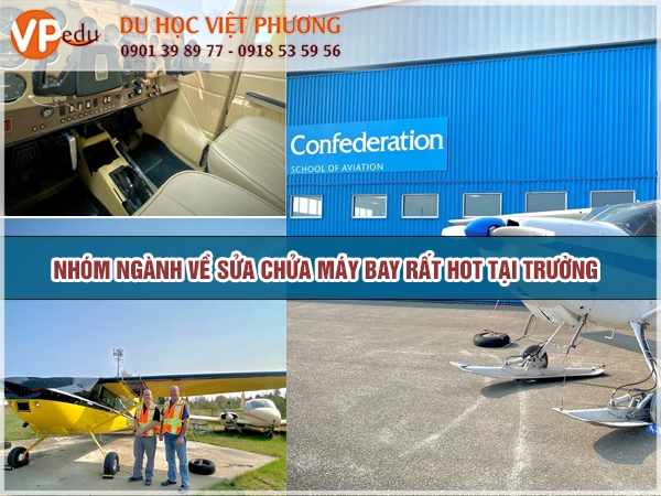 Ngành học được ưa chuộng tại trường