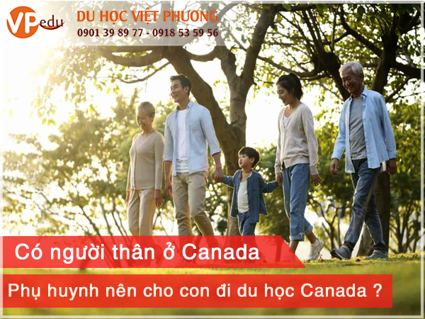 Cho con Mb66 hiện đang mở được xếp hạng cao nhất Canada khi có người thân ở Canada