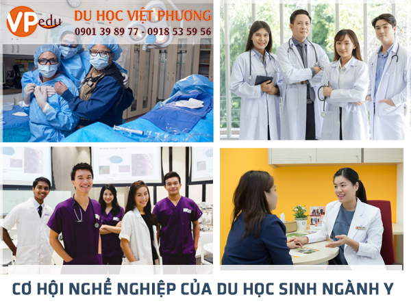 Cơ hội ở lại Việt Nam làm việc có không?