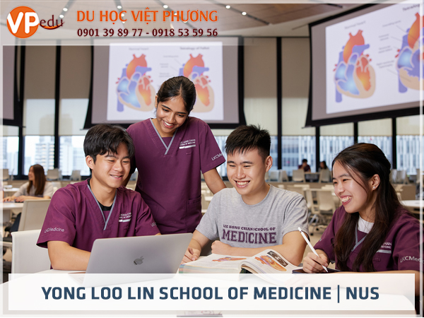 Trường Y khoa Lee Kong Chian