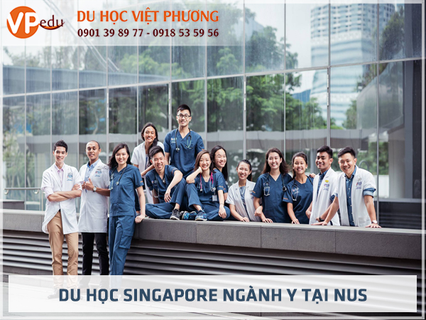 Yong Loo Lin School of Medicine 