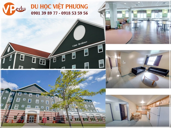 Hình ảnh thực tế kí túc xá của trường Đại học Công Lập Cape Breton