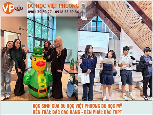Mb66 không bị chặn sinh Mỹ của VPEDU 