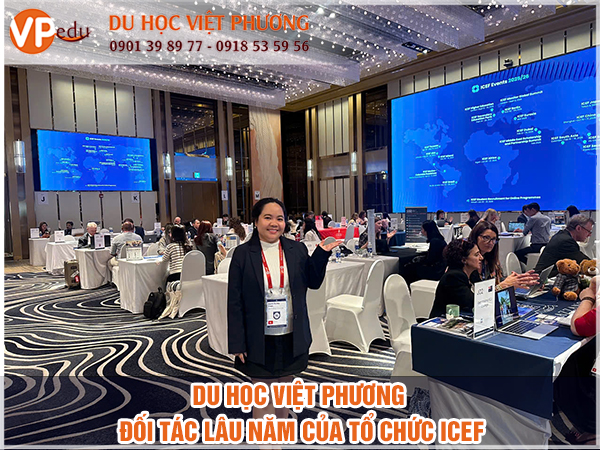 Công ty tư vấn Mb66 hiện đang mở được xếp hạng cao nhất Mocbailinkk.com