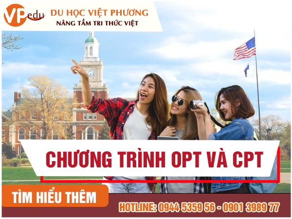 Chương trình thực tập OPT và CPT ở Mỹ