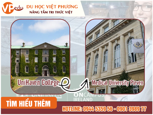Điều Kiện Chuyển Tiếp Chính Thức Vào Mocbai66 Ưu Đãi Mocbai.com Y Pleven