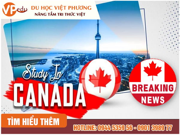 Phỏng vấn Mb66 hiện đang mở được xếp hạng cao nhất Canada có hay không?