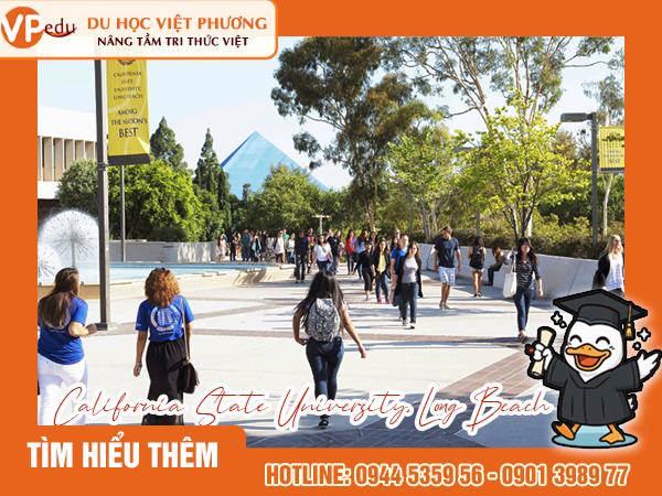 Trường California State University, Long Beach
