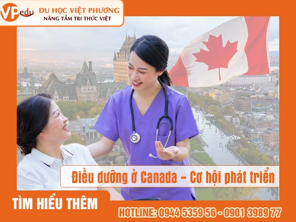 Nhu cầu nhân lực ngành điều dưỡng tại Canada