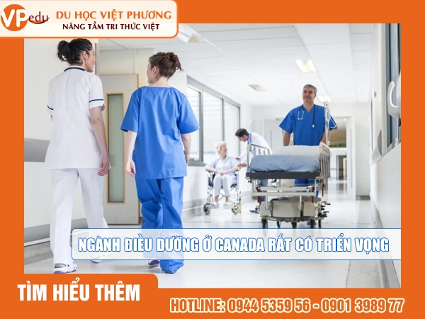 Ngành điều dưỡng ở Canada rất có triển vọng