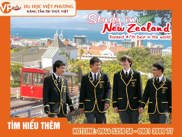 Các trường trung học tại khu vực Wellington