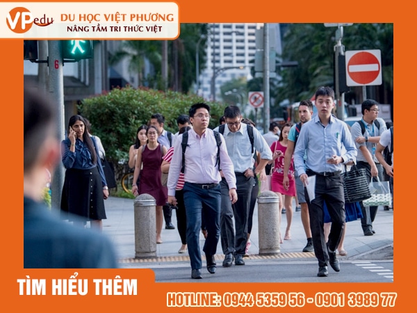Làm việc tại Việt Nam
